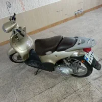 وسپا دلفین اتومات