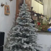 یه درخت کریسمس دومترو خرده