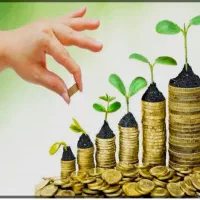 درخواست سرمایه باضمانت چک صیادی معتبر وسفته