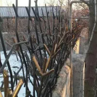 حفاظ شاخ گوزنی سرنیزه رودیواری درب و پنجره|خدمات پیشه و مهارت|تهران, یافت آباد جنوبی|دیوار