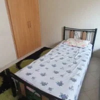 دو عدد تخت یک نفره