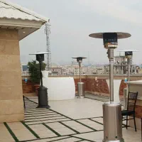 هیترقارچی ایستاده و رومیزی