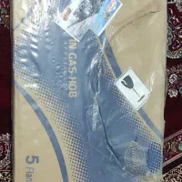 اجاق گاز صفحه ای بوش