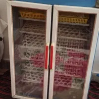 دستگاه جوجه کشی تمام اتومات ۵۰۴ تایی