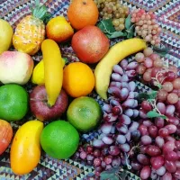 میوه مصنوعی