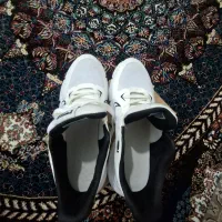 کفش|کیف، کفش، کمربند|سنقر, |دیوار