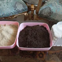 خاک بستر حلزون مکمل و کلسیوم