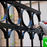 نقاشی درب و پنجره کمترین قیمت