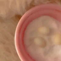 تخم فنچ جغدی و گلو بریده|پرنده|کرج, دولتآباد|دیوار