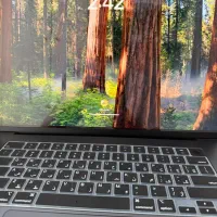 MacBook M4 pro 16inch|رایانه همراه|تهران, درختی|دیوار