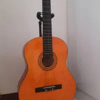 گیتار ویولت همراه با پایه و ساک حمل