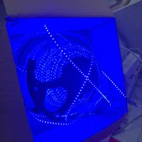 ریسه شیلنگی