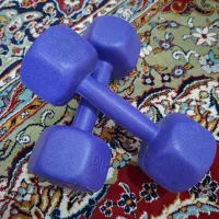 دمبل 2 کیلویی