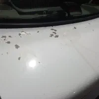 پراید|خودرو سواری و وانت|مسجد سلیمان, |دیوار