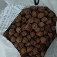 گردو تازه