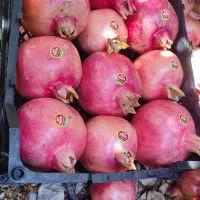 انار میخوش کهمره