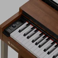 Donner ddp-200|پیانو، کیبورد، آکاردئون|قزوین, |دیوار