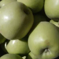 سیب سبز درشت وآبدار