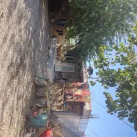 خانه ویلایی در روستای باینال. سند دار.|فروش خانه و ویلا|کلاله, |دیوار