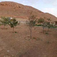 فروش زمین در آرپادرسی
