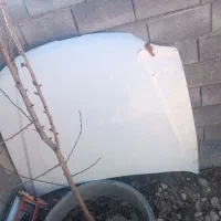 کاپوت ماشین پارس