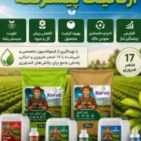جذب سرمایه