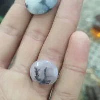 سنگ شجر|جواهرات|اردبیل, |دیوار