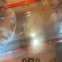 ویترین ، تابلو و میز کار|فروشگاه و مغازه|قائم‌شهر, |دیوار