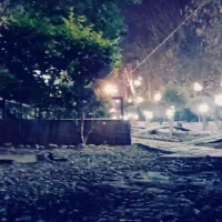 کارگر ساده آشپزخانه و رستوران