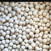 تولید و فروش عمده و خرده لبنیات سنتی