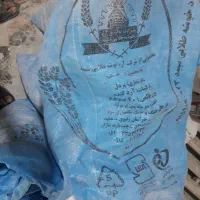 مدارک گمشده