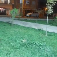 MVM  X33 مدل۹۰،نقد و معاوضه با قیمت پایین