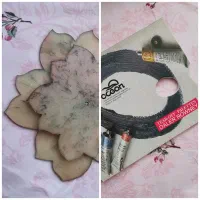 ۲ پالت رنگ روغن