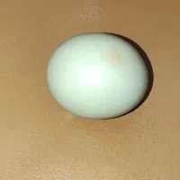 سنگ الماس اسیاب