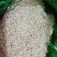 برنج نیمدانه فوق عطری ایلام