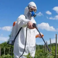 سم پاشی سوسک ساس مورچه ،