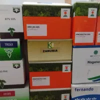 فروش انواع بذر چغندر های اصلی به شرط ضمانت