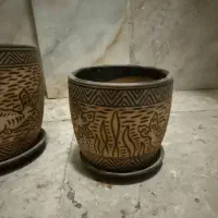 گلدان|گل و گیاه طبیعی|کرج, خرمدشت|دیوار