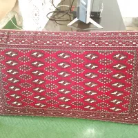 مخته پشتی