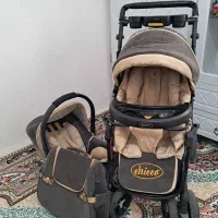 کالسکه و سرویس کالسکه مارک دلیجان