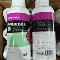 خرید قارچ کش بلتانول بوته میری خیار و گوجه‌فرنگی