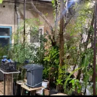 خانه-دارم-همخونه-همخانه-موجه-آقا