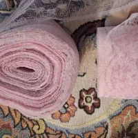 توری و زانفیکس