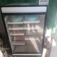 دستگاه جوجه کشی اسکندری