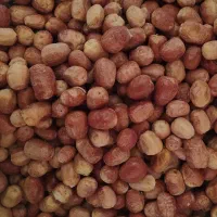 فروش سنجد توسط باغدار مستقیم|خوردنی و آشامیدنی|بسطام, |دیوار