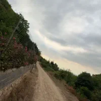 فروش-باغ