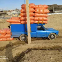 کارگر برای پور کردن کاه نیازمندم