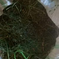 کاه یونجه چن چهار|لوازم جانبی حیوانات|بروجرد, |دیوار