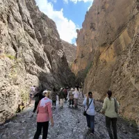 دورهمی و طبیعت گردی بانوان