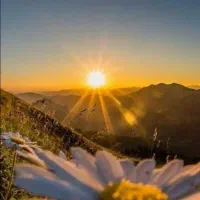واحد ۷۵ متری حیاط دار
